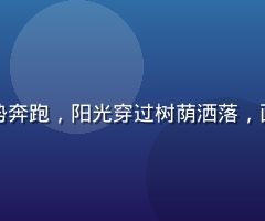 清晨公园绿道上跑者以日剧跑姿势奔跑，阳光穿过树荫洒落，画面清新自然，适合日常晨跑打卡